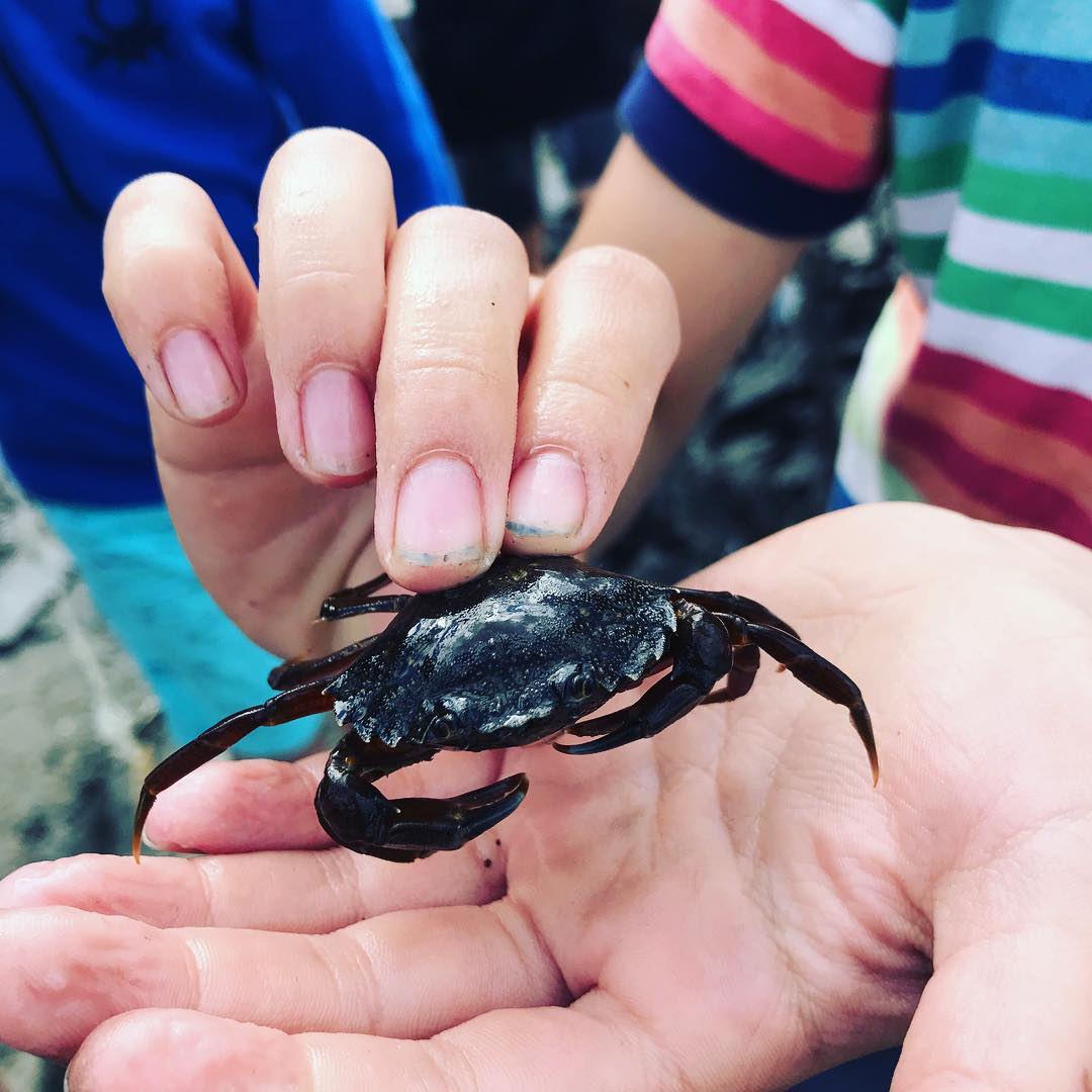 Animasjonsgruppa byttet i dag ut iPad med virkelighet