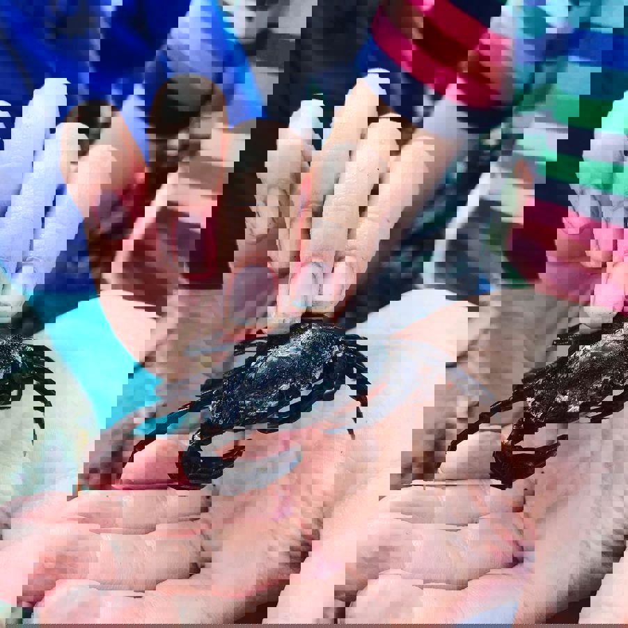 Animasjonsgruppa byttet i dag ut iPad med virkelighet