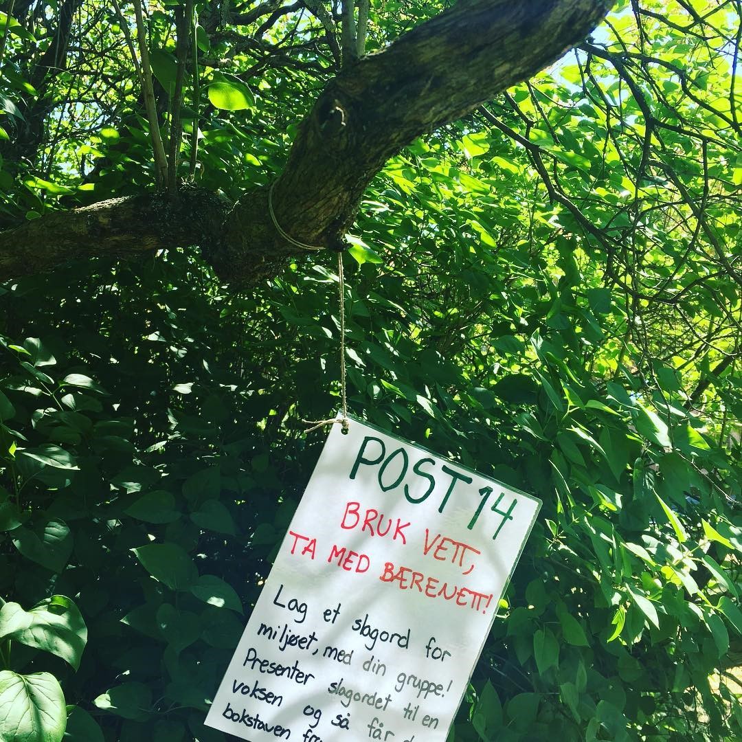 Dansegruppa med miljøbevisst rebusløp